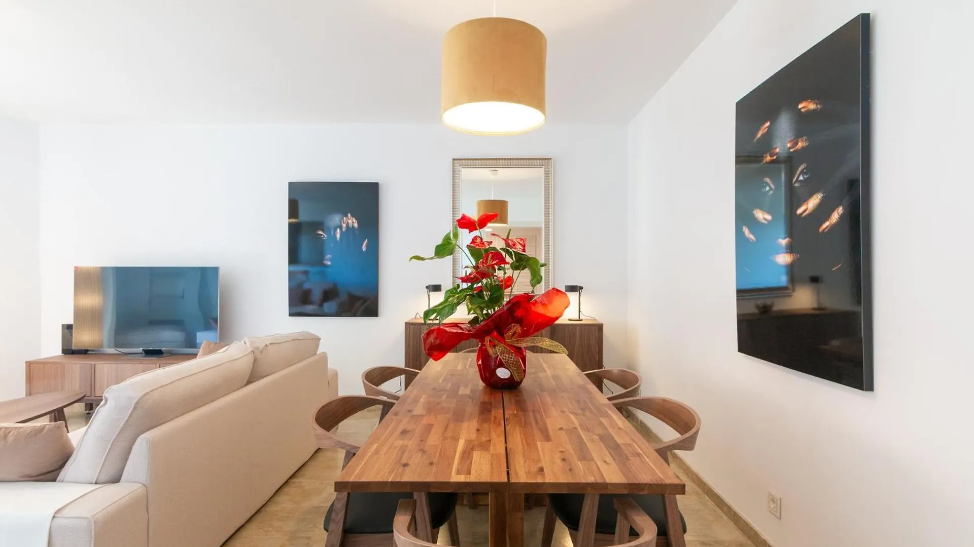Large Apartment Marbella Del Mar Spain